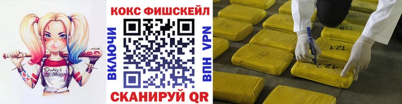 где можно купить   Можайск  Кокаин Fish Scale 