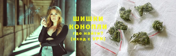 прущие грибы Дрезна