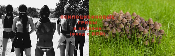 дживик Володарск