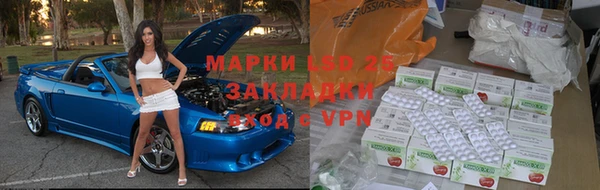 индика Бронницы